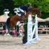 Brownland Farmâ€™s Nashville Classic Horse Show